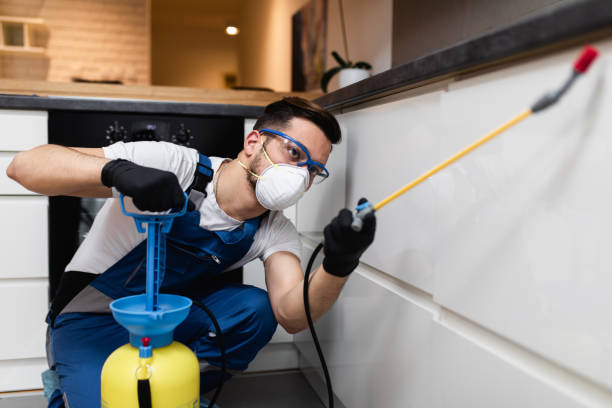 Best Rat Extermination Near Me  in West Allis, WI