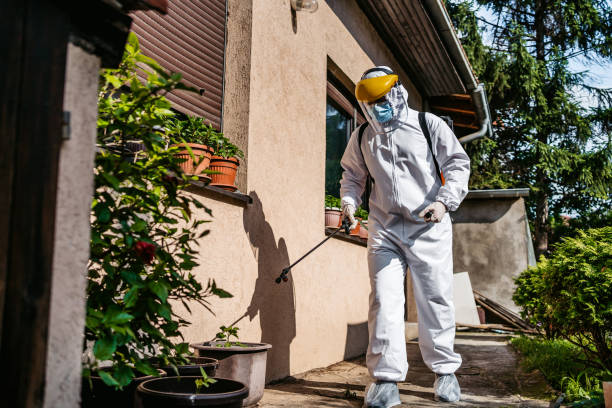 Best Best Pest Control Companies  in West Allis, WI