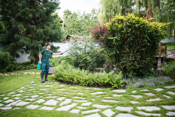 Best Best Pest Control Companies  in West Allis, WI