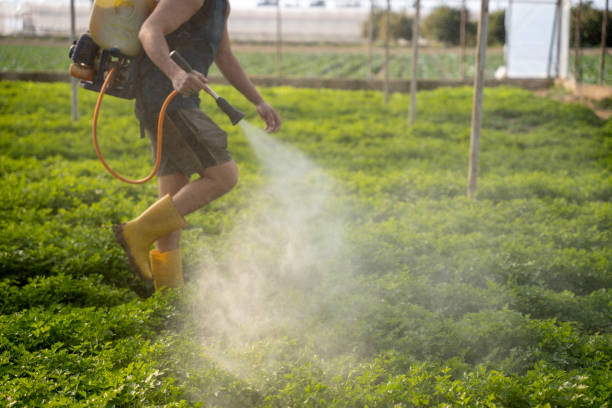 Best Wasp Removal Services  in West Allis, WI